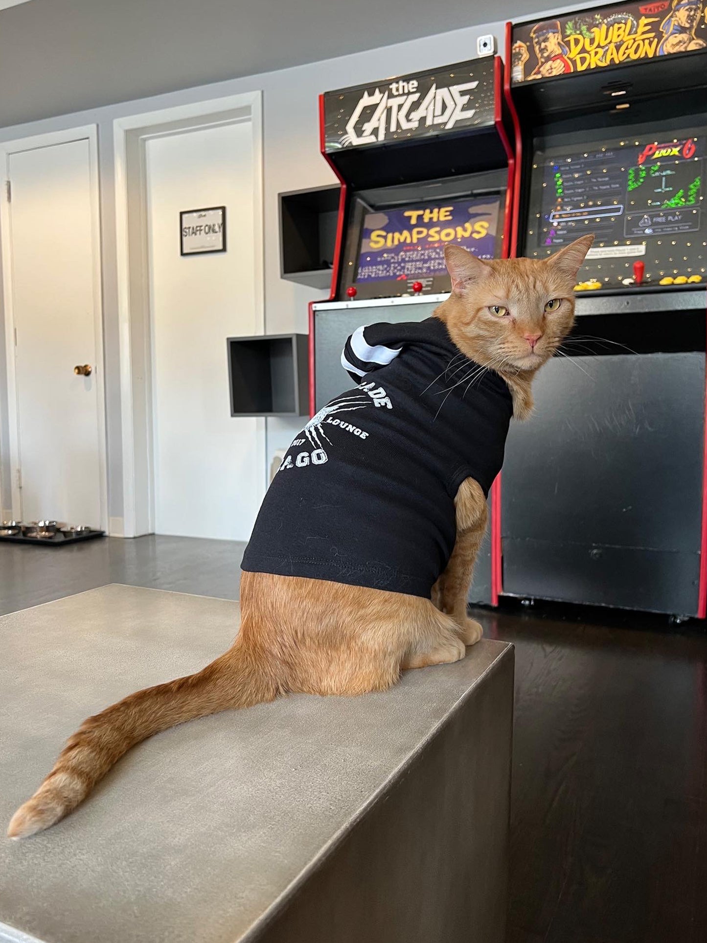 The Catcade Cat Hoodie